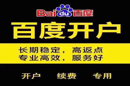 百度广告投放策略与效果评估案例